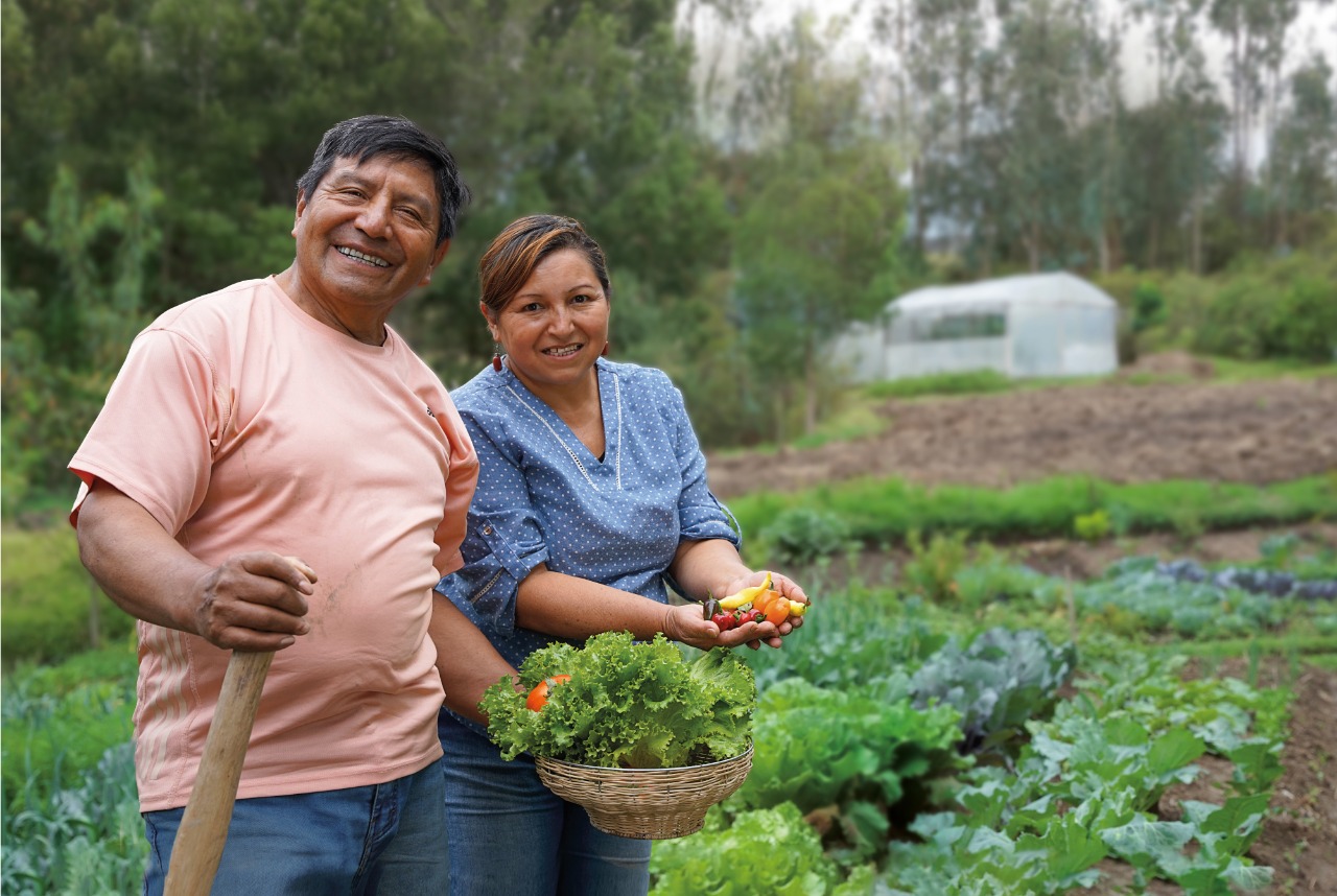 Publicamos el libro “20 Años de AGRUPAR” que conmemora los veinte años de fomentar la agricultura urbana